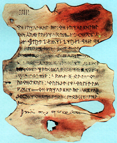 mazar3m.jpg